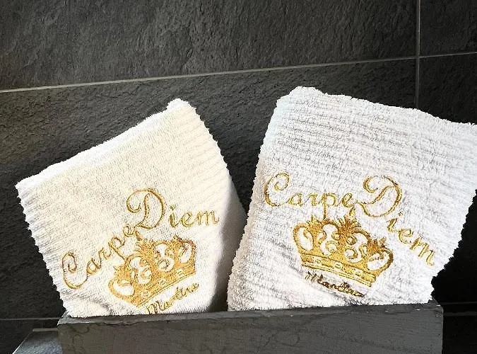 Carpe Diem-m * 特罗吉尔